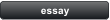 essay